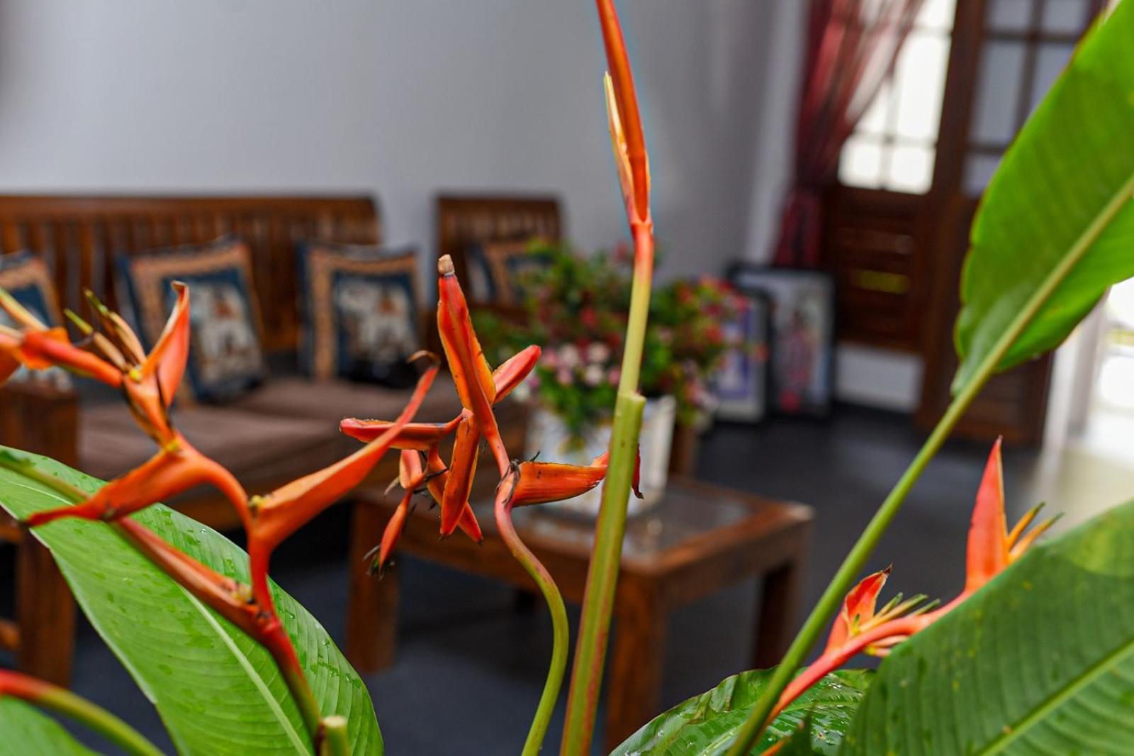 4Ty Two Homestay Гале Екстериор снимка